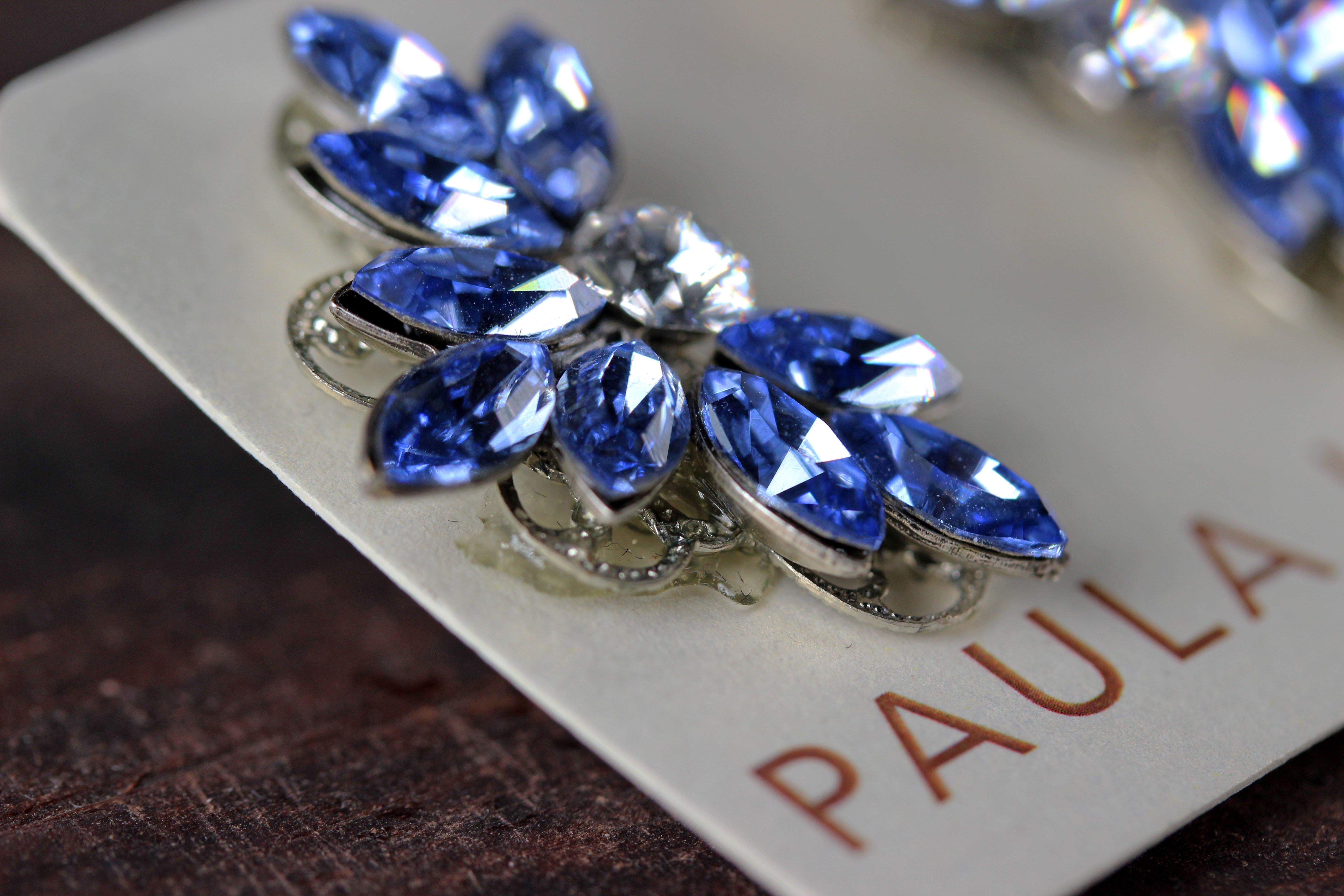 Beautiful Blue Earrings